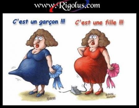 PLUS D'ECOGRAPHIE
